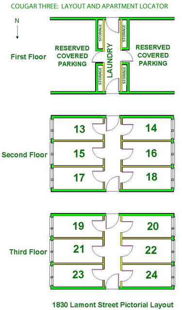 Cougar Three Layout